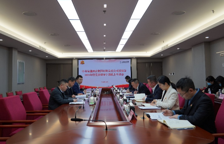 尊龙集团党委书记、董事长任丁出席安逸酒店集团2022年度党员领导干部民主生活会